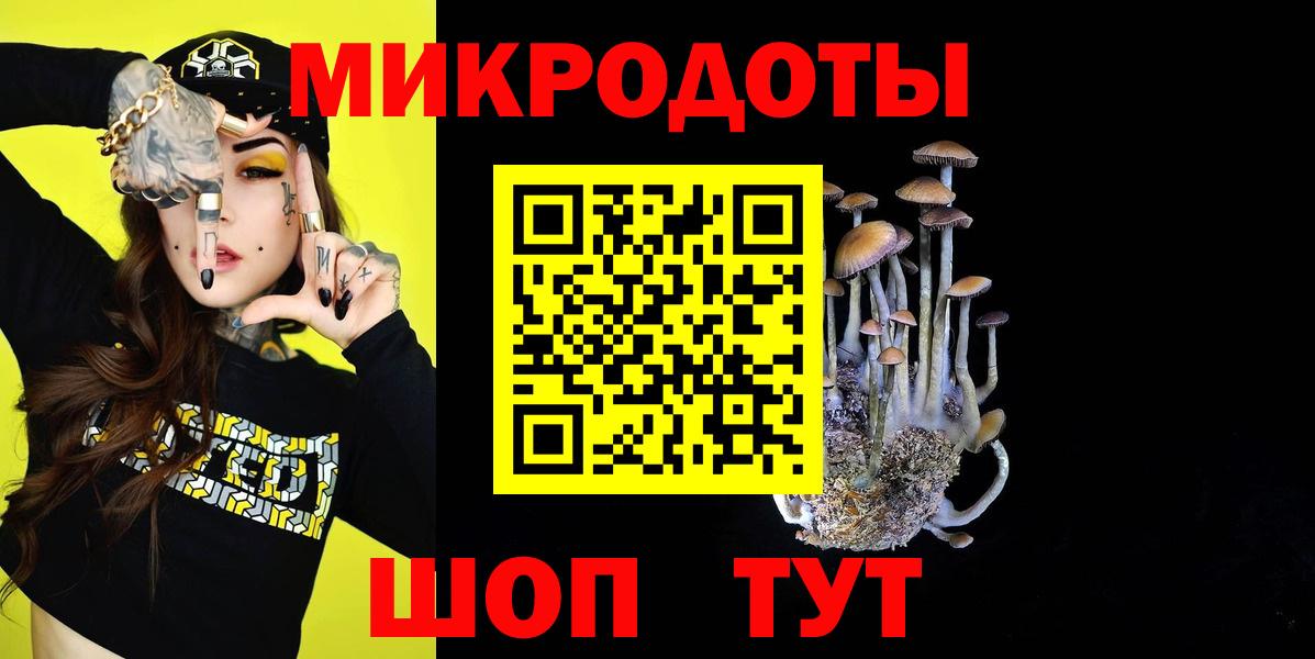 Псилоцибиновые грибы Psilocybe  Вход с VPN  Иваново 